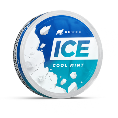 ICE Cool Mint 6MG