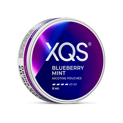 XQS Blueberry Mint 8MG - Snuscrew